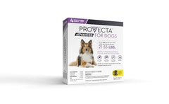 Provecta Advanced for Dogs bathing-proof application illustrated during swimming activities.