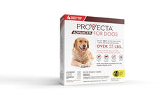 Provecta Advanced for Dogs XL box packaging highlighting four month supply