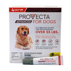 Provecta Advanced for Dogs XL dog after application with shiny coat for outdoor protection