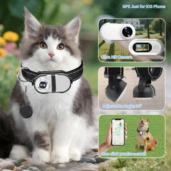 PRRPRR pet camera collar worn from the side showing lightweight all-day wear.