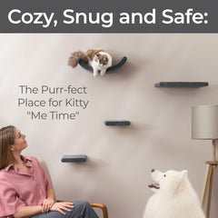 Pryde Pets modular climber perches create a stylish cat playground in small spaces.