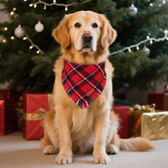 PTDECOR Christmas dog bandana green plaid with tassels for stylish holiday photos.
