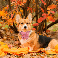 PTDECOR soft polyester fabric collar emphasizes lightweight comfortable daily wear