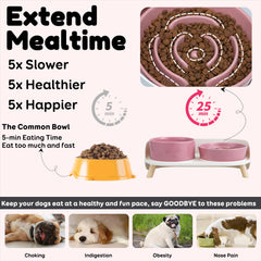 PTOBER dog drinking bowl supports daily hydration with durable ceramic construction.
