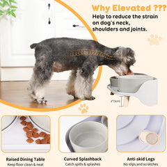PTOBER ridged slow-feeder bowl design increases meal challenge.