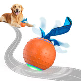 Pubialo Interactive Dog Ball rolling action showcases durable TPU shell for hours of play