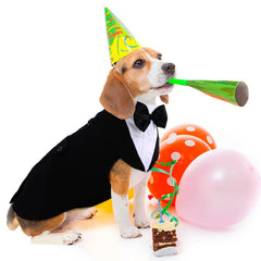 PUMYPOREITY soft cotton material keeps small pets comfortable.