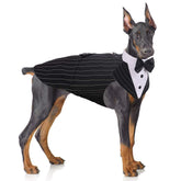 PUMYPOREITY dog tuxedo bowtie set front view for elegant wedding photos