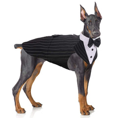 PUMYPOREITY dog tuxedo bowtie set front view for elegant wedding photos