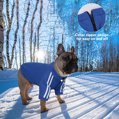 PUMYPOREITY zip-collar close-up highlights comfortable neck opening for big-headed breeds.