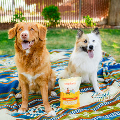 Pupford Cheese Crunchies puppy snack in a bowl.