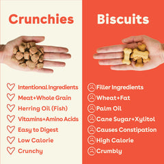 Pupford Crunchies texture-closeup reveals crunchy bite many dogs enjoy.