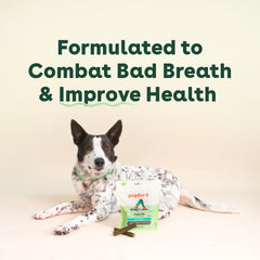 Pupford natural ingredients closeup emphasizes simple, clean formula for daily use.