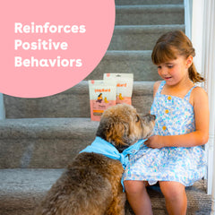 Pupford training session showing dog reward-ready treats