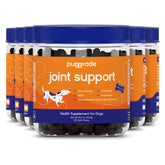 PupGrade joint-support chews beef-flavored close-up, may support dog mobility