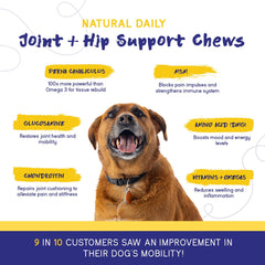 PupGrade Perna canaliculus green-lipped mussel, natural joint support