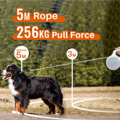 PUPIHOM leash with reflective stitching boosts visibility during early morning or night walks.