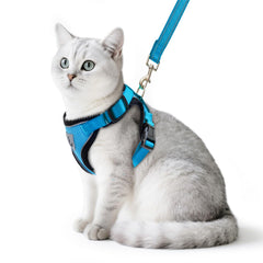 PUPTECK blue cat harness shows escape-proof design for safe walks.