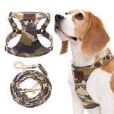 Puppytie camouflage brown harness size M on medium dog for comfortable daily walks