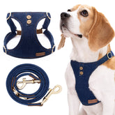 Puppytie dog harness medium blue vest adjustable for secure everyday fit.