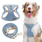 Puppytie dog harness medium glacier blue worn for comfortable daily walks
