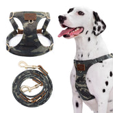 Puppytie dog harness no-pull camouflage green on a medium dog for relaxed walks.