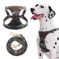 Puppytie dog harness no-pull camouflage green on a medium dog for relaxed walks.