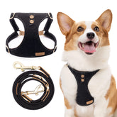 Puppytie dog harness No-Pull front view demonstrates secure fit and comfortable control.
