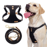Puppytie dog harness no-pull front view for comfortable, controlled walks.