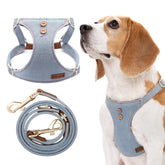 Puppytie dog harness no-pull design keeps medium dogs comfortable on walks