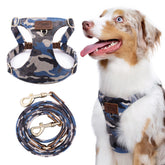 Puppytie dog harness on relaxed medium dog wearing soft vest for all-day comfort