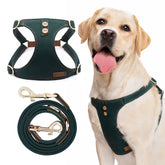 Puppytie dog harness soft-vest enables comfortable escape-free medium dog walks