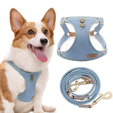 Puppytie Glacier Blue Harness front angle showing no-pull design for comfortable walks.