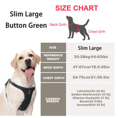 Puppytie multi-function-leash-set-medium supports versatile outings with leash and harness in one