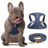 Puppytie No Pull harness on small dog front view shows secure, comfortable control.