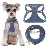 Puppytie no-pull harness in denim blue worn by a small dog for lightweight comfort
