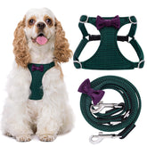 Puppytie No Pull harness on a medium dog during walk; comfortable fit reduces strain.