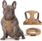 Puppytie no-pull harness XXS in khaki camel eases gentle leash training.