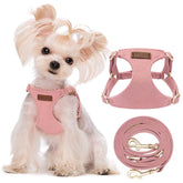 Puppytie No Pull XS harness close-up buckle, secure fit for daily walks.