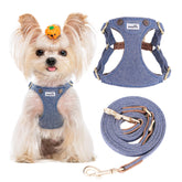 Puppytie no pull xs dog harness on denim blue coat reduces pulling during strolls