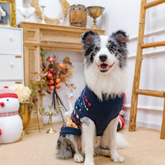 PUPTECK Christmas dog sweater red elk and heart design for holiday photos.