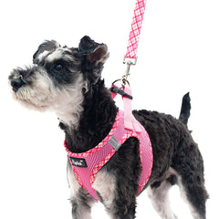 pupt-eck-dog-harness-pink-step-in-design enables quick wear.