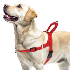 PUPTECK No Pull Harness front view showing even pressure distribution for comfortable walks