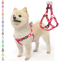 PUPTECK no pull harness front view shows secure chest fit for confident walks