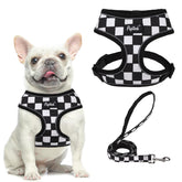 PUPTECK soft mesh harness back view highlights breathable comfort for all-day walks.