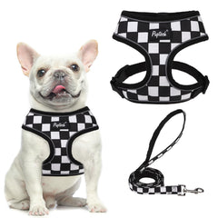 PUPTECK soft mesh harness back view highlights breathable comfort for all-day walks.