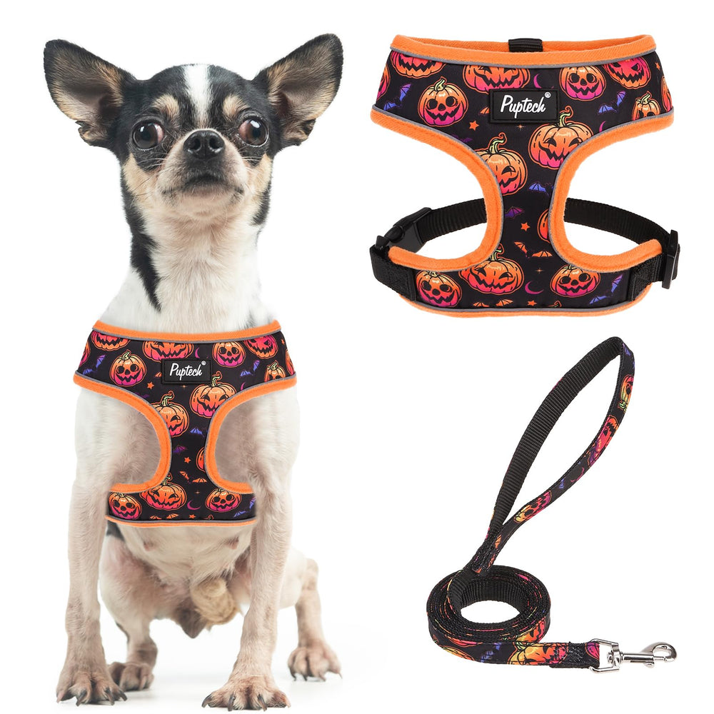 PUPTECK soft mesh harness in Halloween orange provides lightweight daily comfort.
