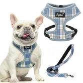 Pupt-eck soft mesh harness in sky blue for breathable daily comfort