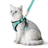 Arnés de gato PUPTECK con malla transpirable y ajuste cómodo.