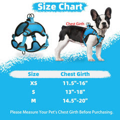 Arnés Puptech sin tirar azul (detrás) ideal para caminatas casuales.